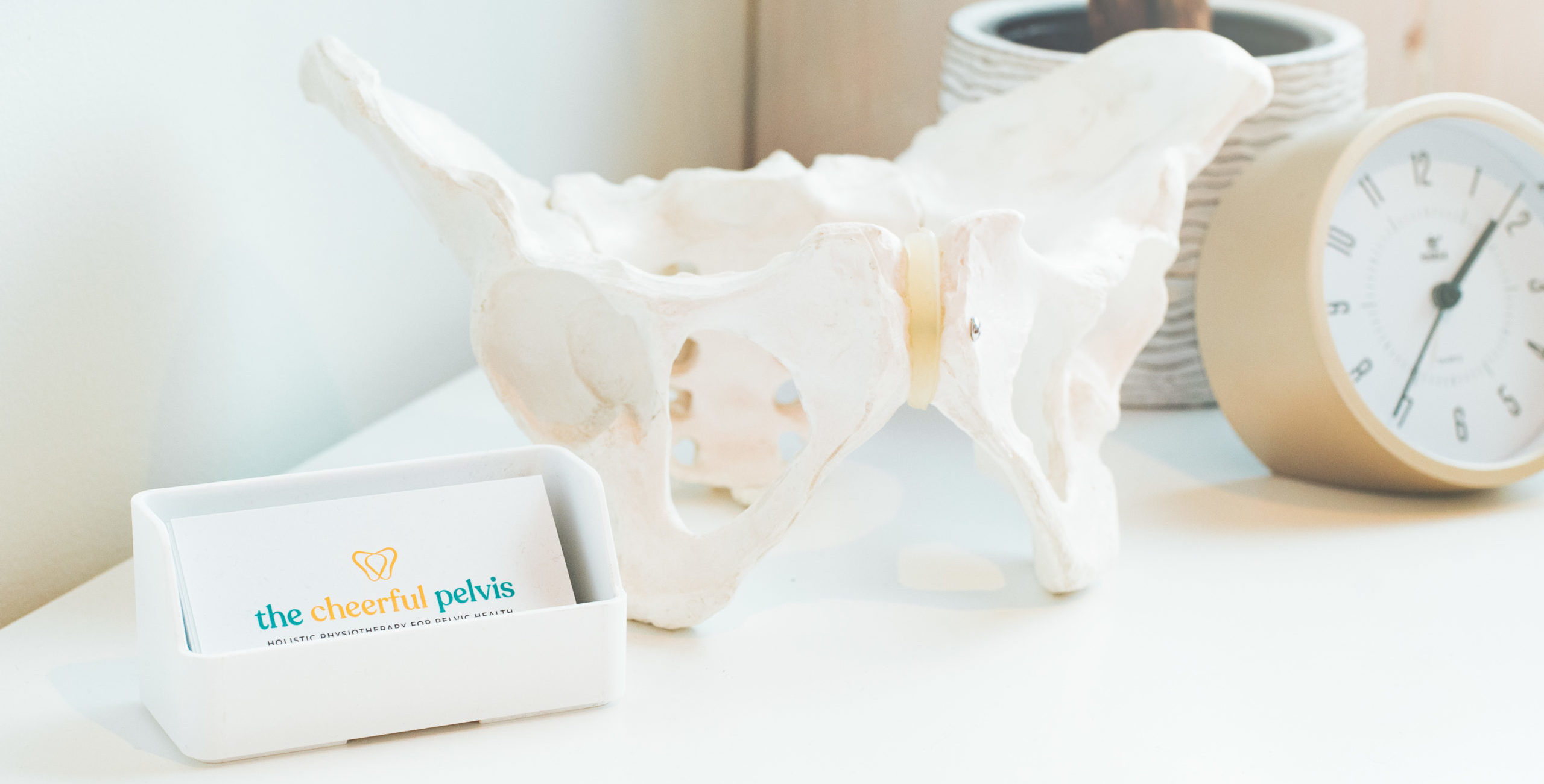 Model of pelvis next to The Cheerful Pelvis business card 