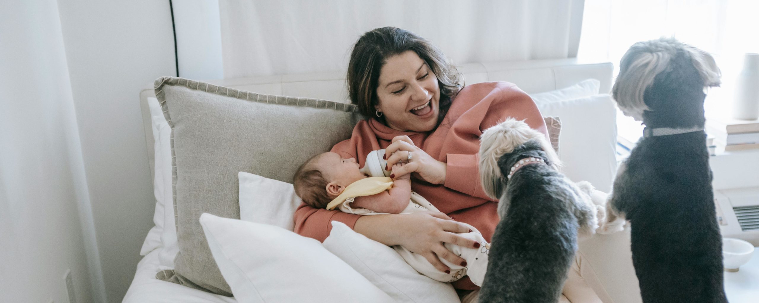 Person in bed with their baby, joined by two dogs. 